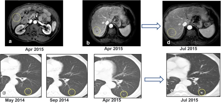 Fig. 4