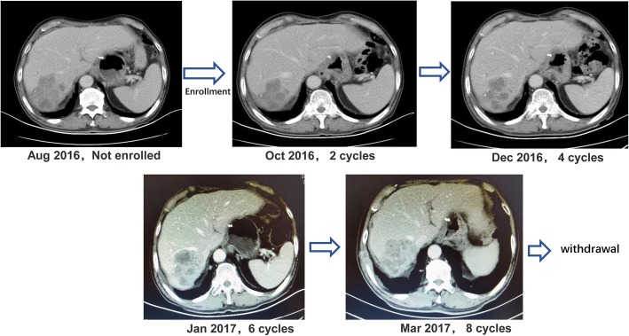 Fig. 7