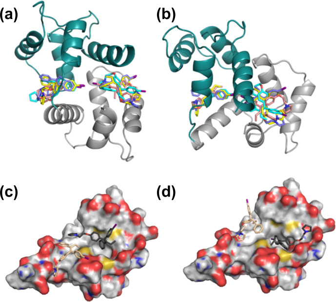 Figure 6