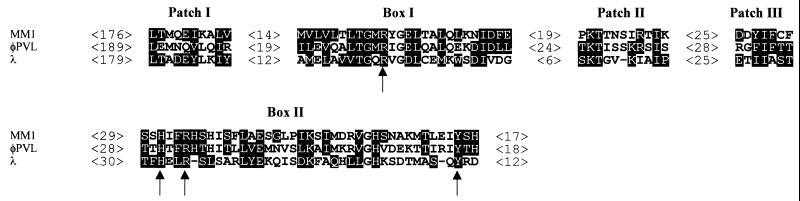 FIG. 6