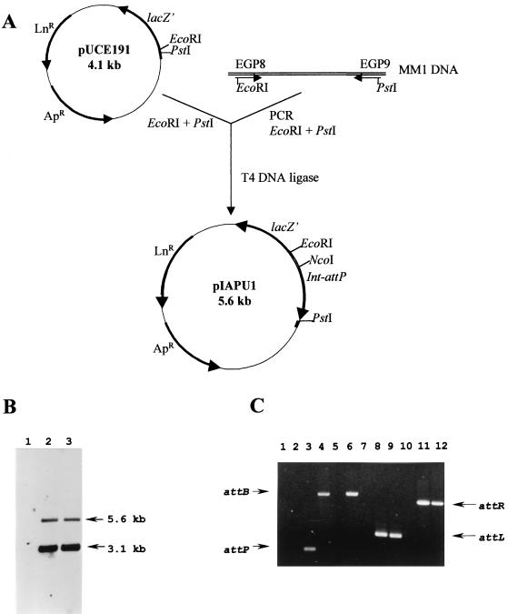 FIG. 7