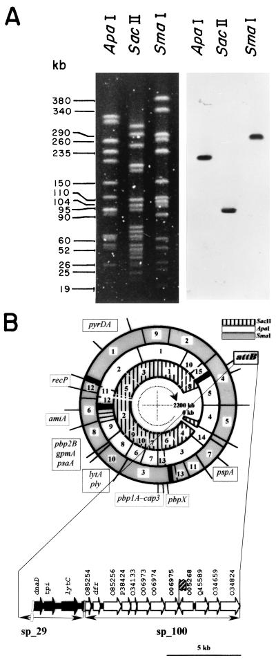 FIG. 5