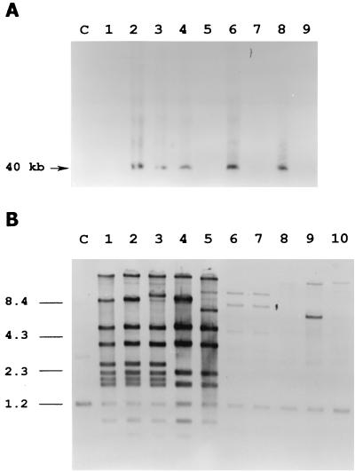 FIG. 8