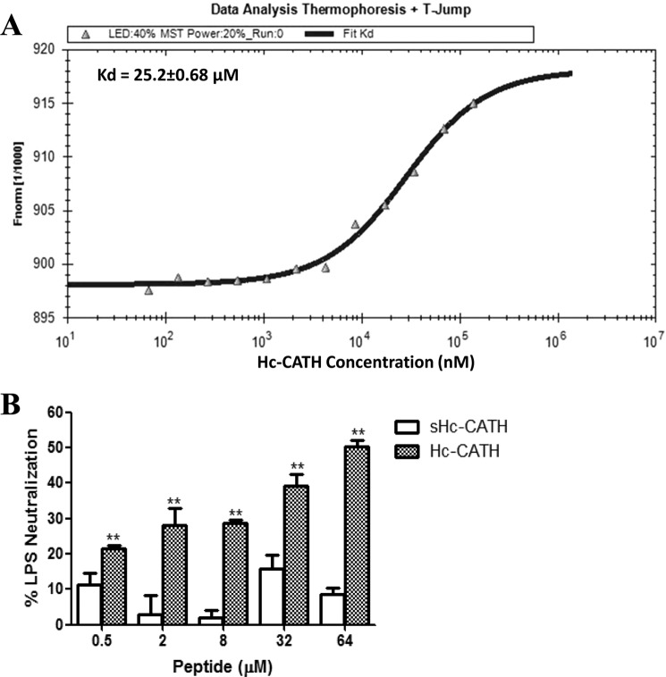 FIGURE 10.