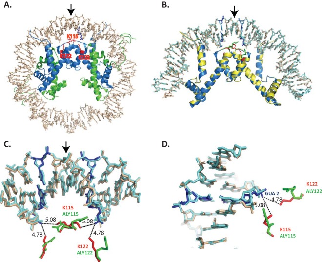 FIG 1