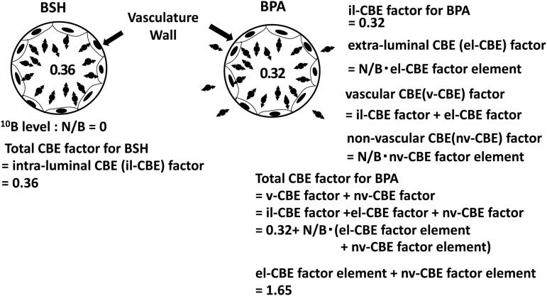 Fig. 4.