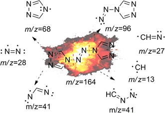 Fig. 10