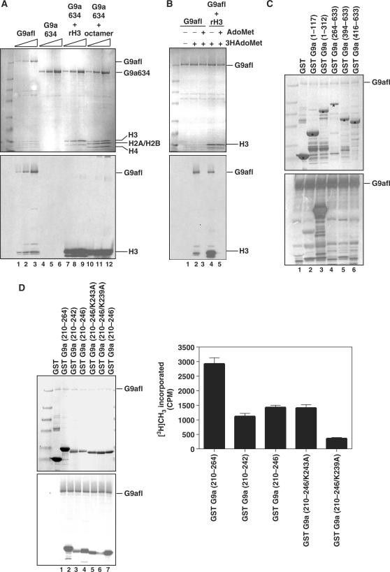 Figure 2.