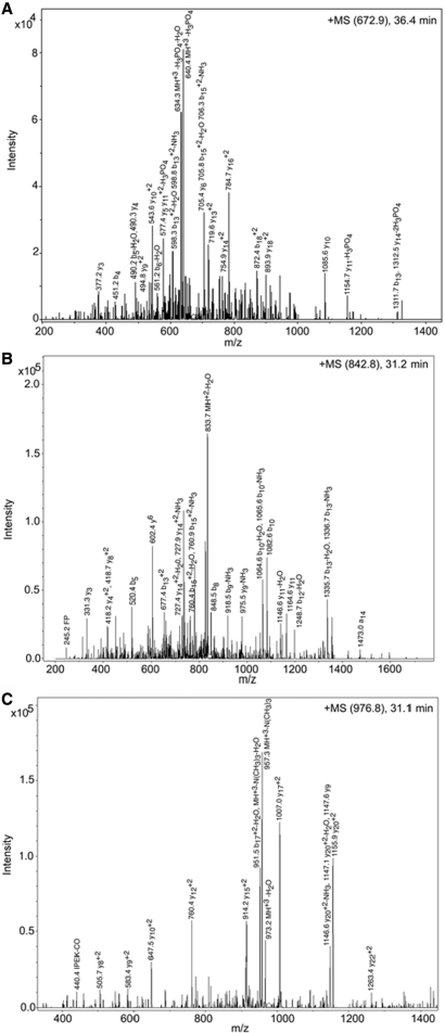 Figure 3.