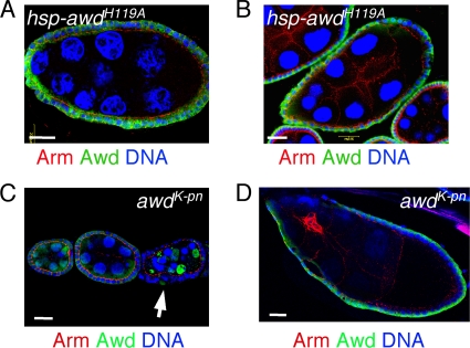 FIG. 7.