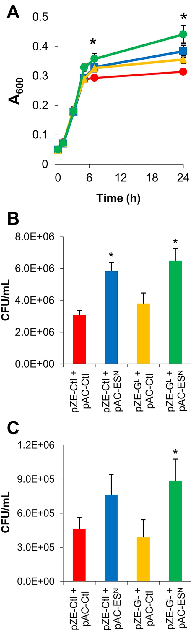 FIG 2 