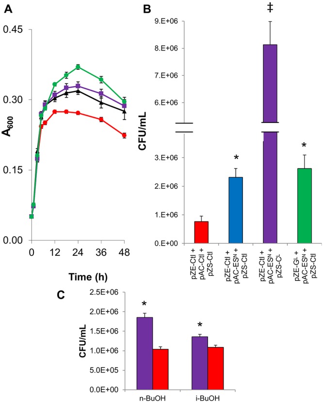 FIG 4 