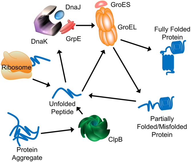 FIG 1 