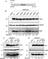 FIG 5