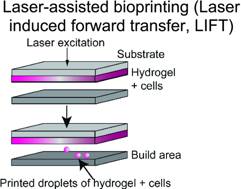 graphic file with name ABPID9-000004-010901_1-g0d4.jpg