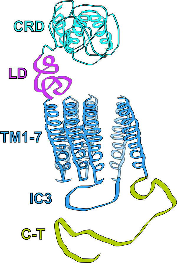 Figure 4.