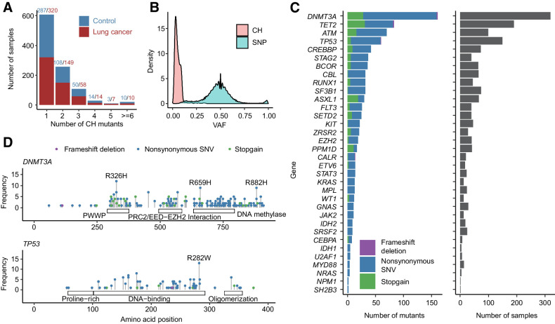 Figure 1. Overall distribution of CH mutations. A, Distribution of number of CH mutations in each sample. Most of the samples had 1–2 CH mutations. Red and blue denote number of CH mutations in patients with lung cancer and controls, respectively. B, VAF distribution of CH mutations and SNP. Most of CH mutations had VAF < 0.1. C, Number and type of CH mutations in 34 CH hotspot genes. D, CH mutation sites in DNMT3A and TP53. Mutations with samples ≥ 8 were labeled.