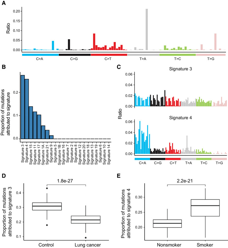 Figure 5. Signatures of CH mutations. A, Overall mutational signature of CH mutations. B, Proportion of mutations attributed to signatures, which were assigned previously by Alexandrov and colleagues (23). Signature 3 and Signature 4 contributed most to the total mutational signature. C, Rates of nucleotide substitution of Signature 3 and Signature 4. Data came from Alexandrov and colleagues (23). D, Patients with lung cancer had lower proportion of Signature 3. E, Smoker had higher fraction of Signature 4.