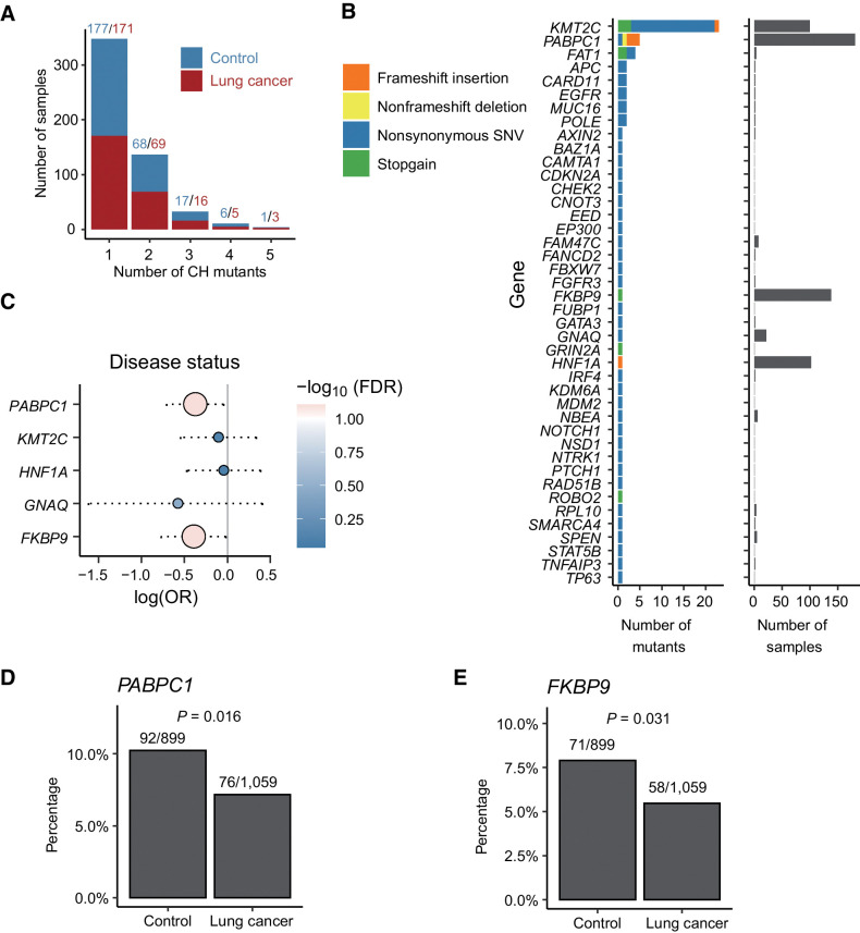 Figure 4. Potential novel CH mutations identified in other genomic regions and clinical associations. A, Distribution of number of CH mutations in each sample. Most of the samples had 1–2 CH mutations. Red and blue denote number of CH mutations in patients with lung cancer and controls, respectively. B, Number and type of CH mutations in COSMIC cancer genes. Nonsynonymous SNVs were most common. Most genes had only one CH mutation in a few samples. KMT2C and PABPC1 had the largest number of CH mutations; KMT2C, PABPC1, FKBP9, and HNF1A had the highest frequency of CH mutations. C, Comparison of mutation frequency of genes that were mutated in more than 10 samples in the patients with lung cancer versus the controls. D and E, PABPC1 (D) and FKBP9 (E) were less frequently mutated in subjects with lung cancer compared with controls.