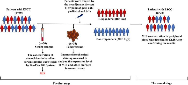 Image, graphical abstract