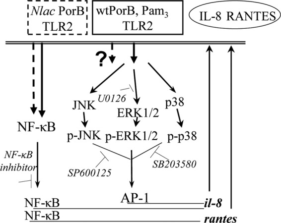 Fig 9