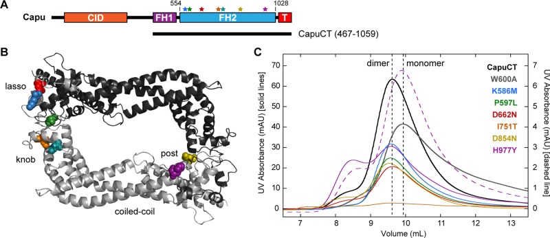 FIGURE 2: