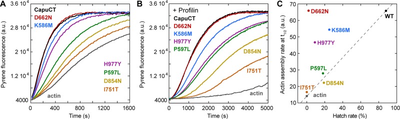 FIGURE 3: