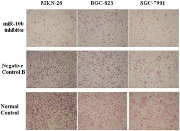 Fig. 2