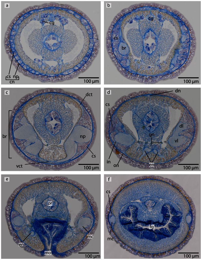 Figure 22