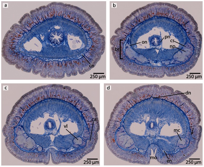 Figure 14