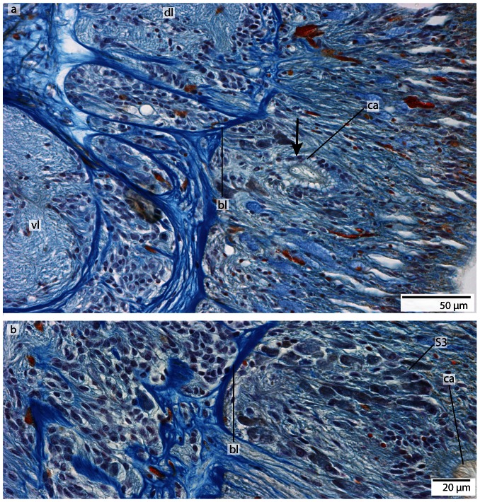 Figure 20