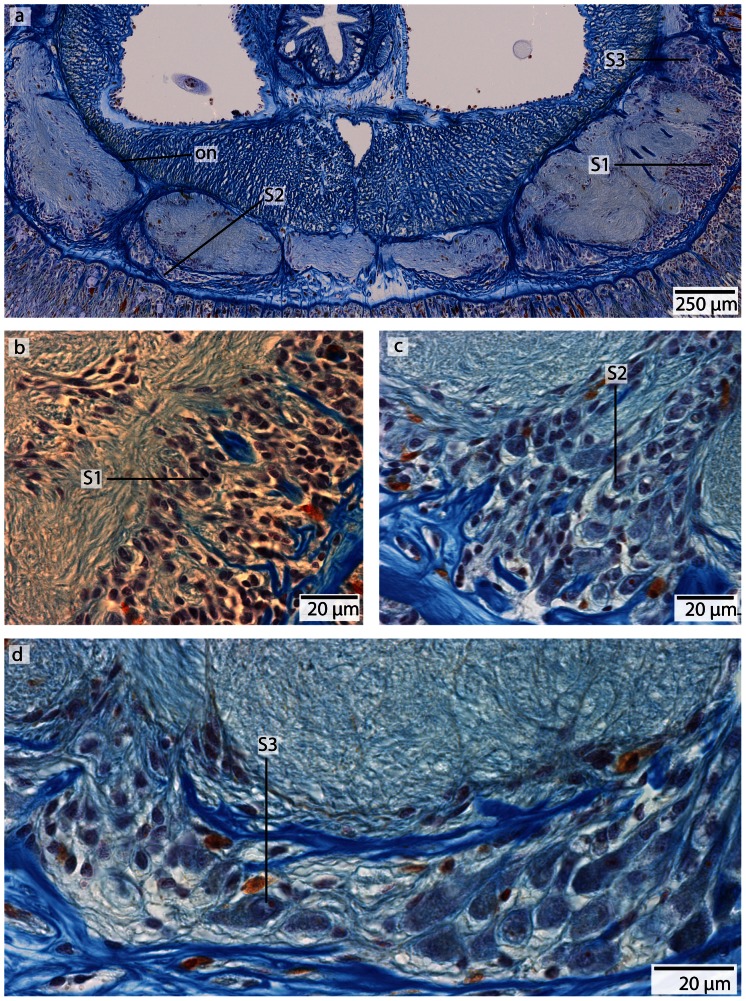 Figure 15