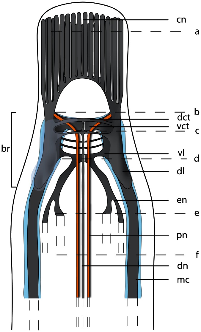 Figure 21