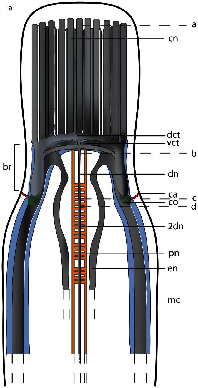 Figure 24