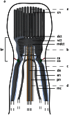 Figure 16