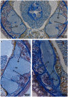Figure 23