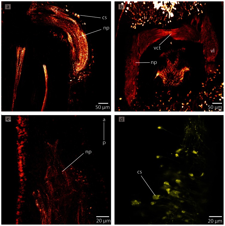 Figure 27