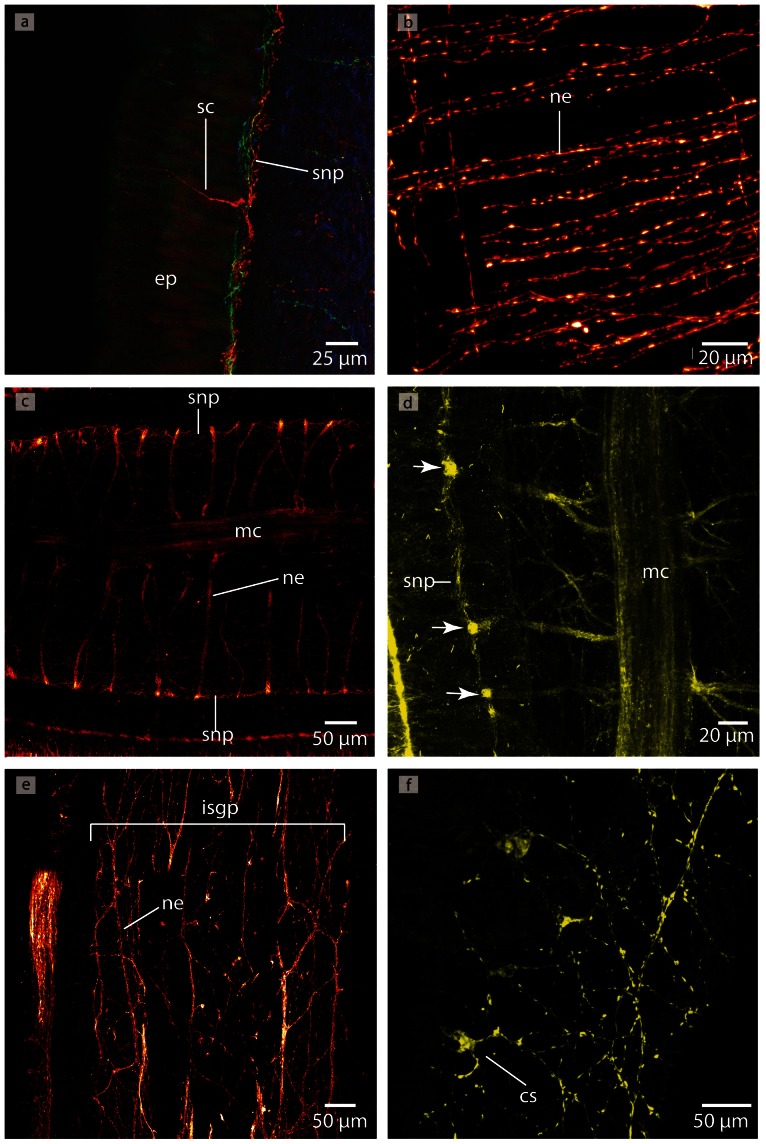 Figure 28