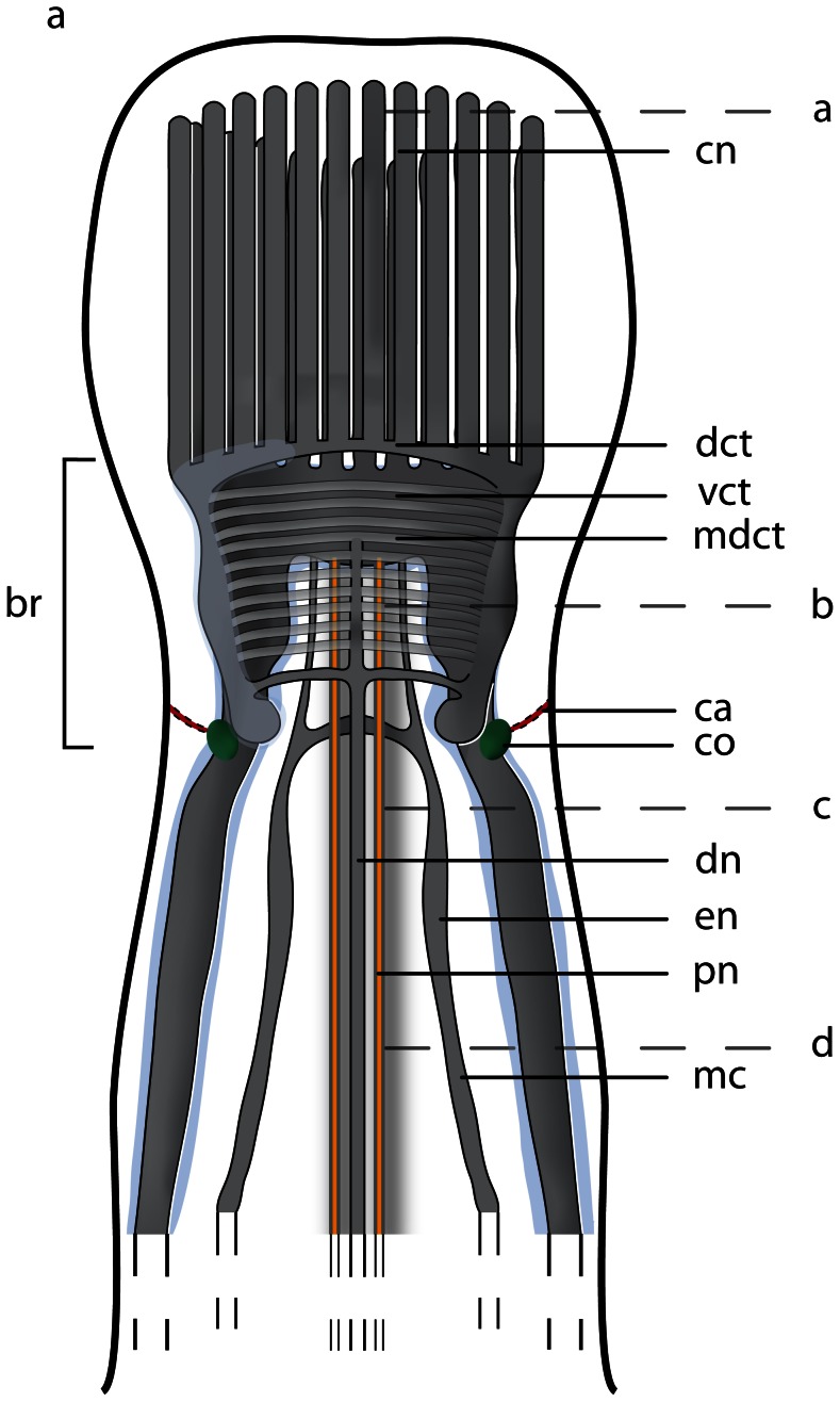 Figure 16