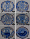 Figure 22
