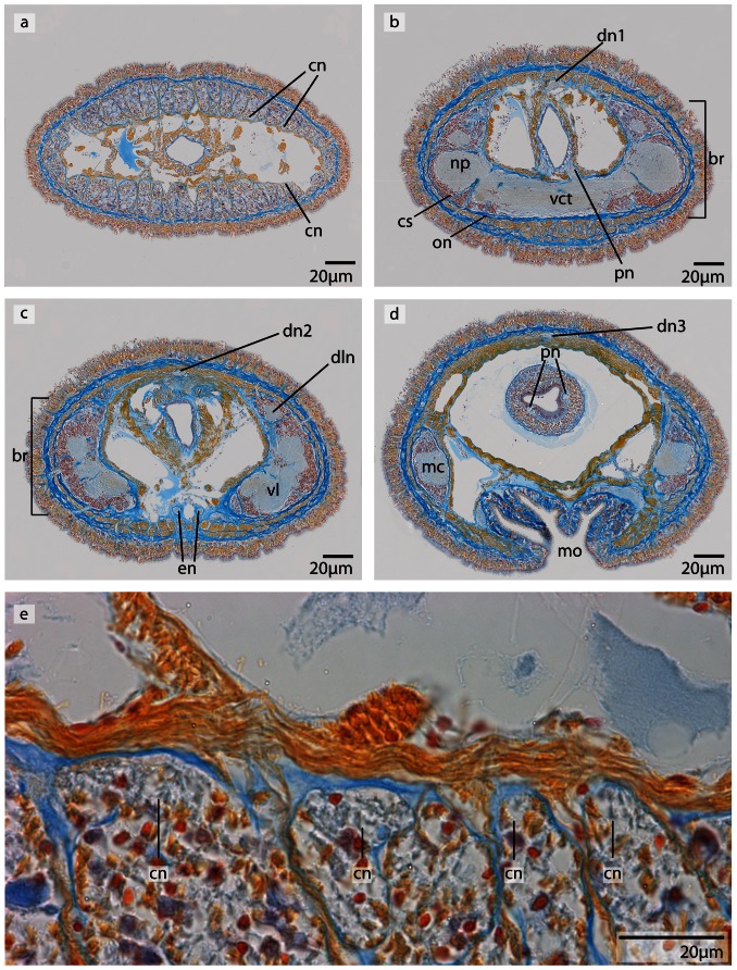 Figure 12