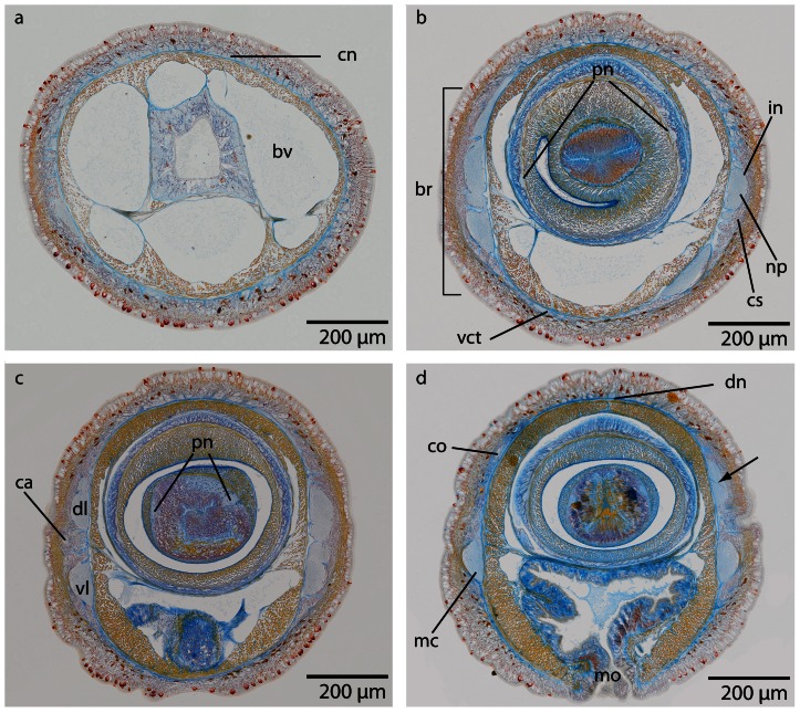 Figure 25