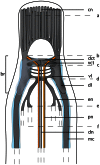 Figure 21