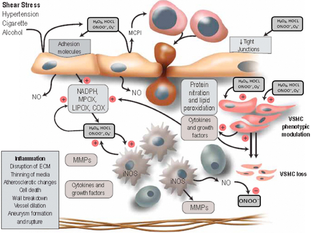 Fig. (1)