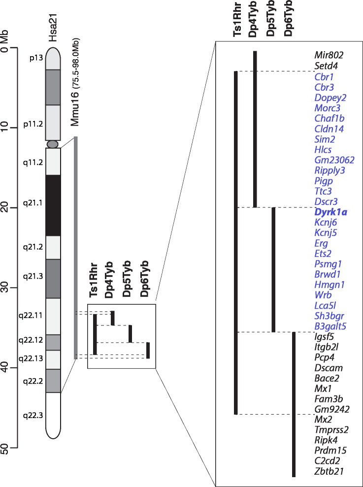 Fig 8