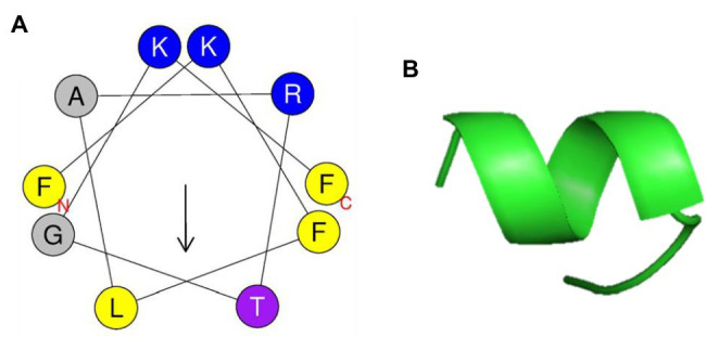 Figure 6