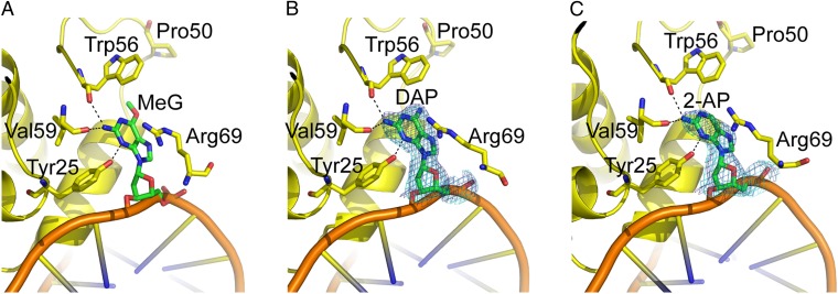 Fig. 5.