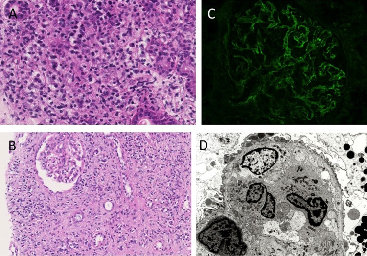 Figure 2