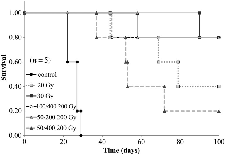 Fig. 5.