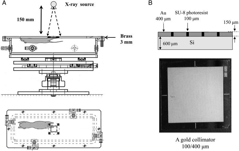 Fig. 1.